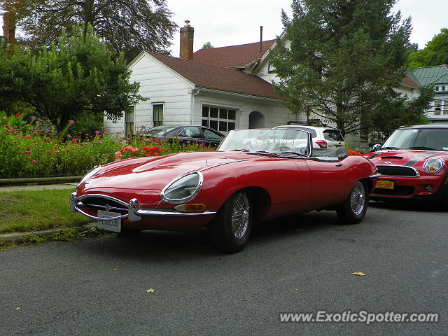 Jaguar E-Type spotted in Watkins Glen, New York