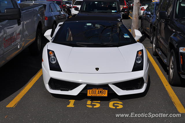 Lamborghini Gallardo spotted in Greenwich, Connecticut