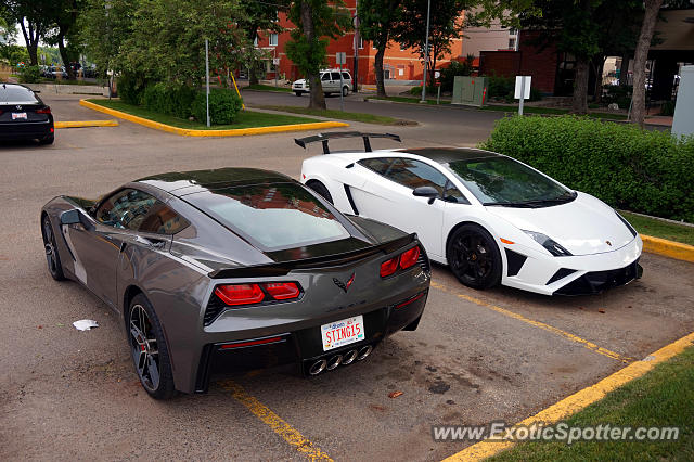 Lamborghini Gallardo spotted in Edmonton, Canada