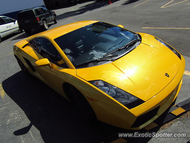 Lamborghini Gallardo spotted in Hayden, Idaho