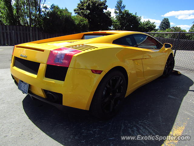 Lamborghini Gallardo spotted in Hayden, Idaho