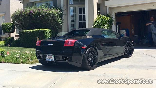 Lamborghini Gallardo spotted in San Jose, California