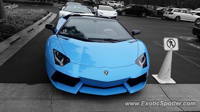 Lamborghini Aventador spotted in Newport Beach, California