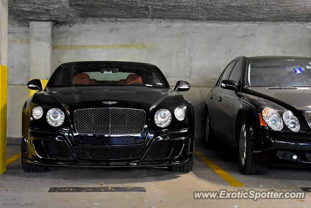 Bentley Continental spotted in Fernandina Beach, Florida