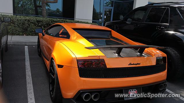 Lamborghini Gallardo spotted in San Diego, California