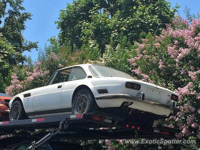 Iso Rivolta Grifo spotted in Woodland Hills, California