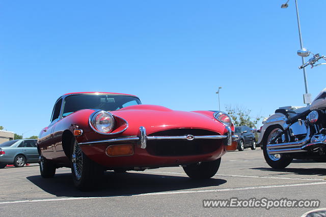 Jaguar E-Type spotted in San Diego, California