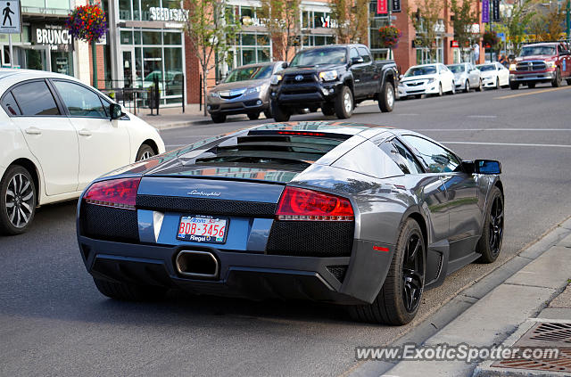 Lamborghini Murcielago spotted in Calgary, Canada