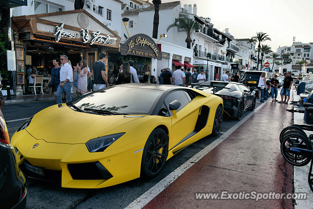 Lamborghini Aventador spotted in Puerto Banus, Spain