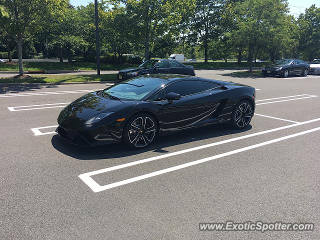 Lamborghini Gallardo spotted in Princeton, New Jersey