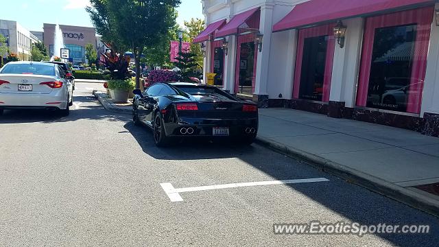 Lamborghini Gallardo spotted in Columbus, Ohio