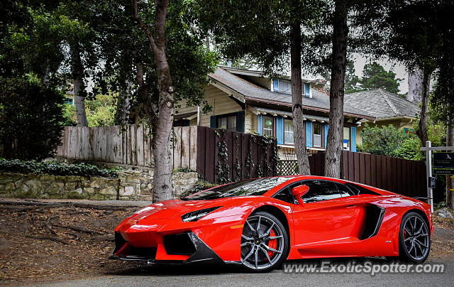 Lamborghini Aventador spotted in Carmel, California