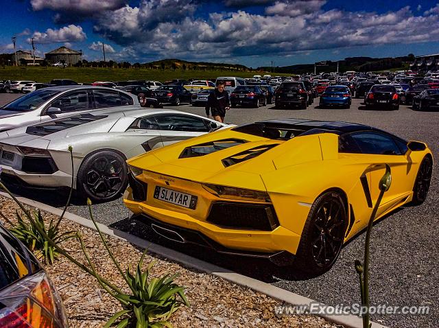 Lamborghini Aventador spotted in Auckland, New Zealand