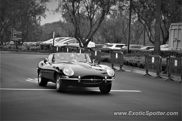 Jaguar E-Type spotted in Newport Beach, California