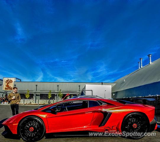 Lamborghini Aventador spotted in Cincinnati, Ohio