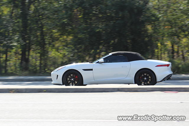 Jaguar F-Type spotted in Riverview, Florida