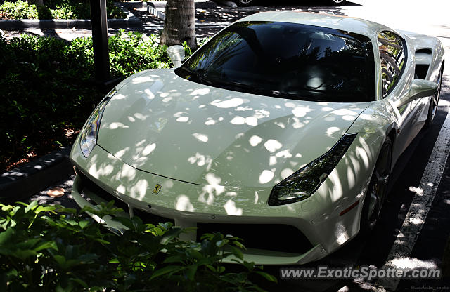 Ferrari 488 GTB spotted in Bal Harbour, Florida