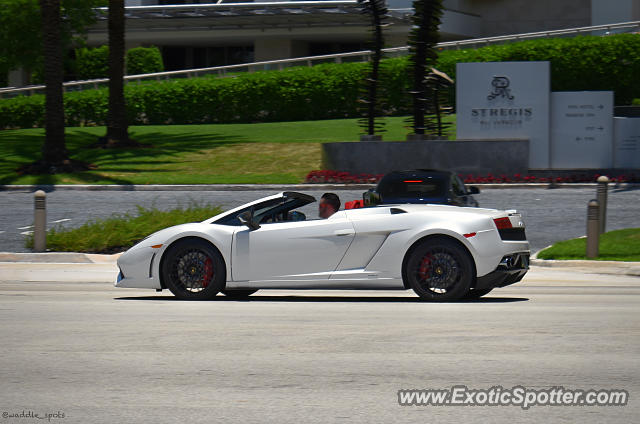 Lamborghini Gallardo spotted in Bal Harbour, Florida