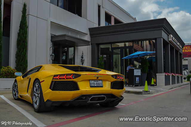 Lamborghini Aventador spotted in Dallas, Texas