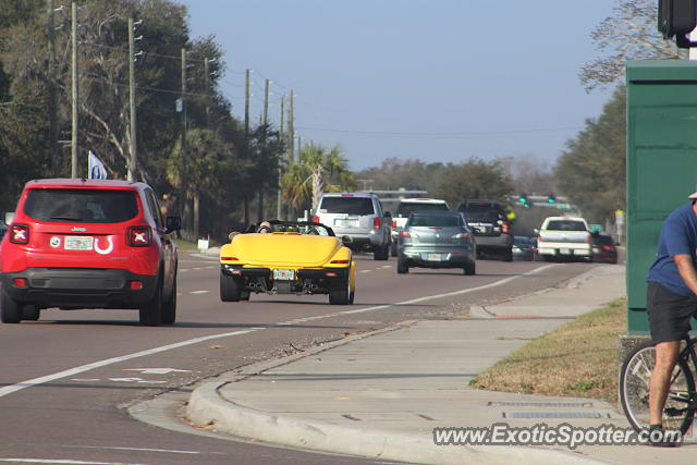 Plymouth Prowler spotted in Riverview, Florida