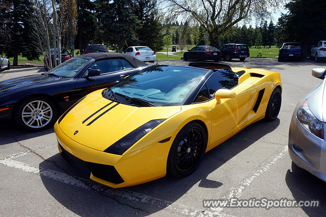 Lamborghini Gallardo spotted in Edmonton, Canada