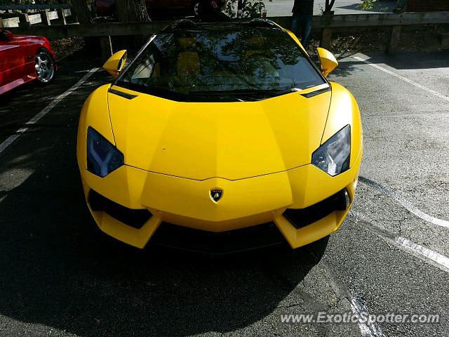 Lamborghini Aventador spotted in Saddle river, New Jersey