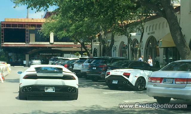 Lamborghini Huracan spotted in Dallas, Texas