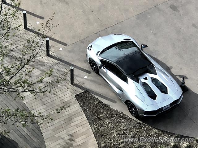 Lamborghini Aventador spotted in Dallas, Texas