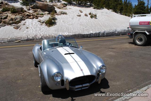 Shelby Cobra spotted in Trailridge, Colorado