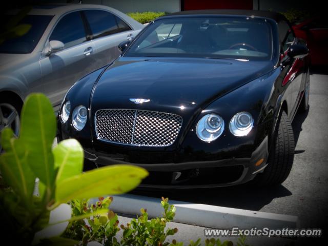 Bentley Continental spotted in Miami, Florida