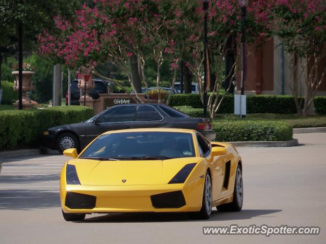 Lamborghini Gallardo spotted in Houston, Texas