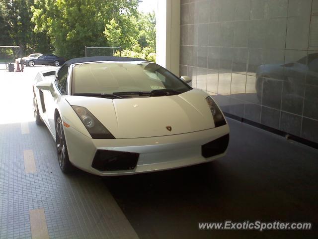 Lamborghini Gallardo spotted in Palm Beach, Florida