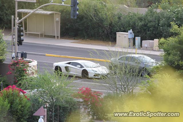 Lamborghini Aventador spotted in Scottsdale, Arizona