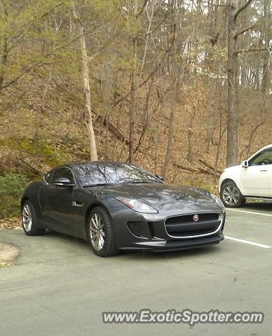 Jaguar F-Type spotted in SANFORD, United States