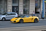 Lamborghini Gallardo