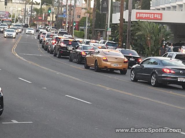 Bentley Continental spotted in Hollywood, California