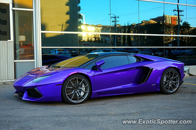 Lamborghini Aventador spotted in Edmonton, Canada