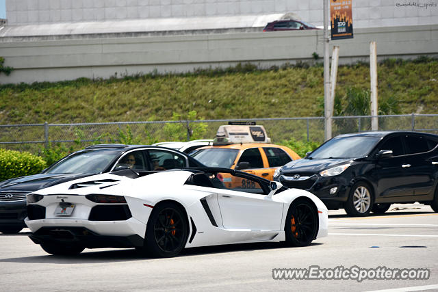 Lamborghini Aventador spotted in Miami, Florida