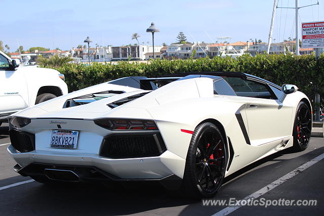 Lamborghini Aventador spotted in Newport Beach, California