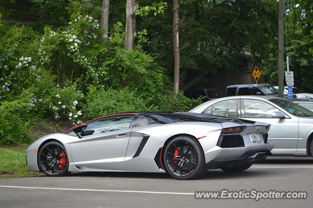 Lamborghini Aventador spotted in Greenwich, Connecticut