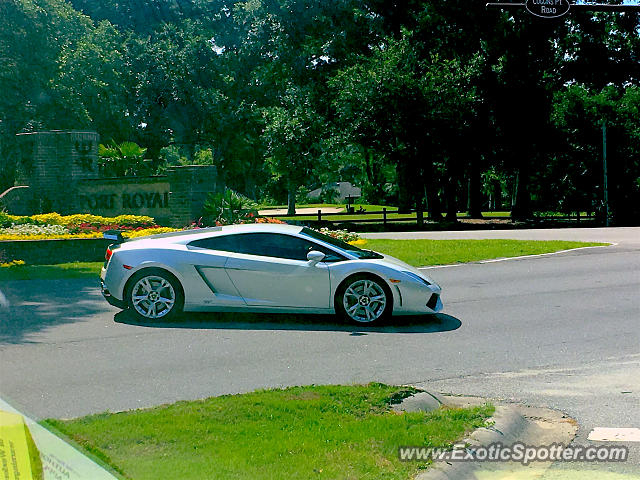 Lamborghini Gallardo spotted in Hilton Head, South Carolina