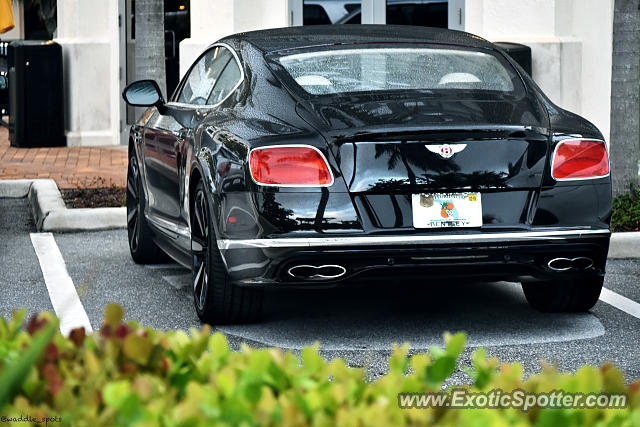 Bentley Continental spotted in Jupiter, Florida