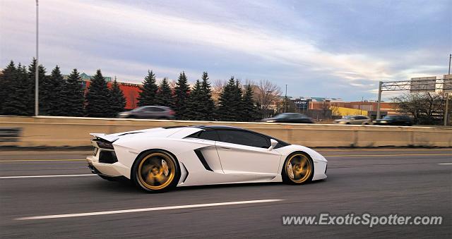 Lamborghini Aventador spotted in Toronto, Canada