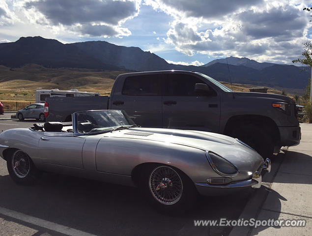 Jaguar E-Type spotted in Gardiner, Montana