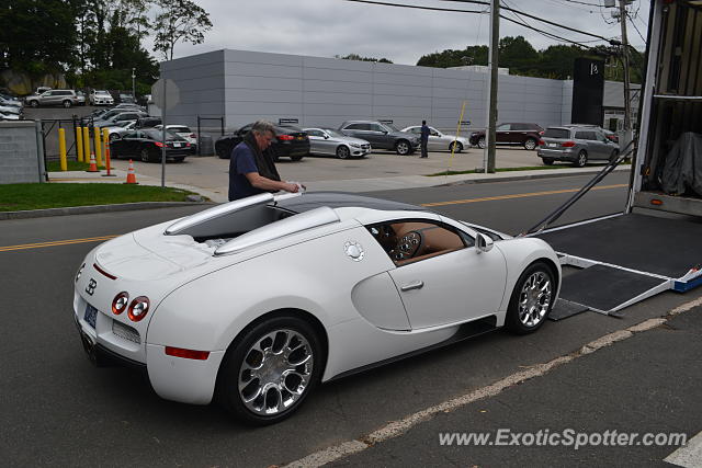 Bugatti Veyron spotted in Greenwich, Connecticut