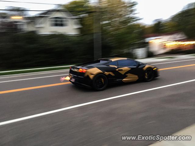 Lamborghini Gallardo spotted in Afton, Minnesota