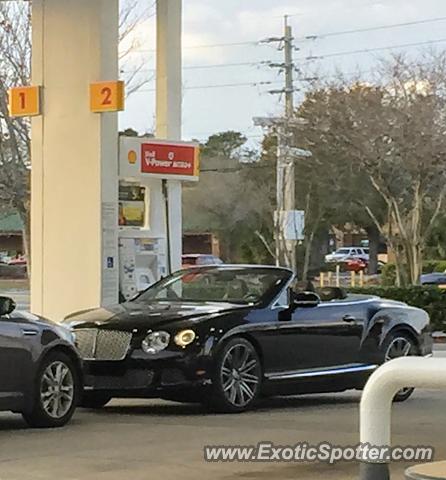 Bentley Continental spotted in Jacksonville, Florida