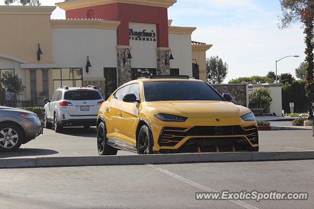 Lamborghini Urus spotted in Laguna Beach, California