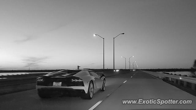 Lamborghini Aventador spotted in Grand Prairie, Texas