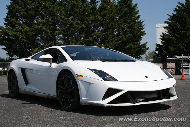 Lamborghini Gallardo spotted in Rockville, Maryland